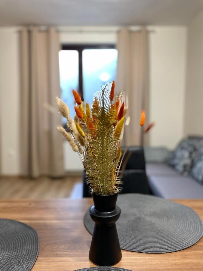 Apartment E23 Borovets Gardens Eksteriør billede